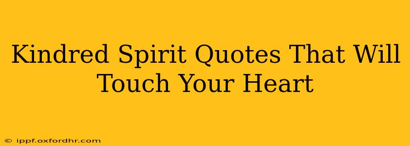 Kindred Spirit Quotes That Will Touch Your Heart
