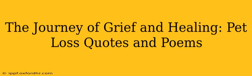 The Journey of Grief and Healing: Pet Loss Quotes and Poems